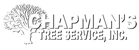 Chapman's Tree Service