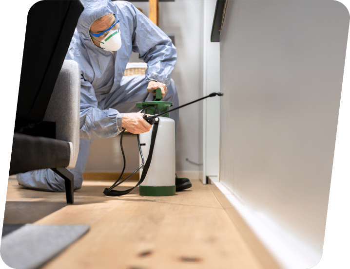 Pest Control Marketing Services