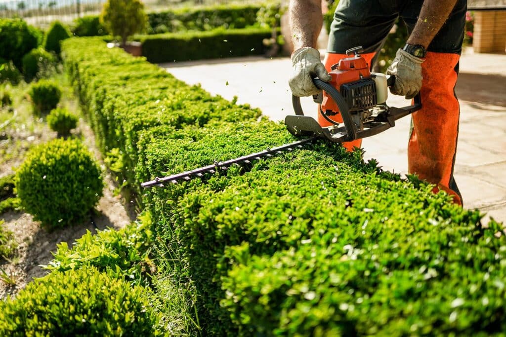 Why Most Home Service Companies Plateau